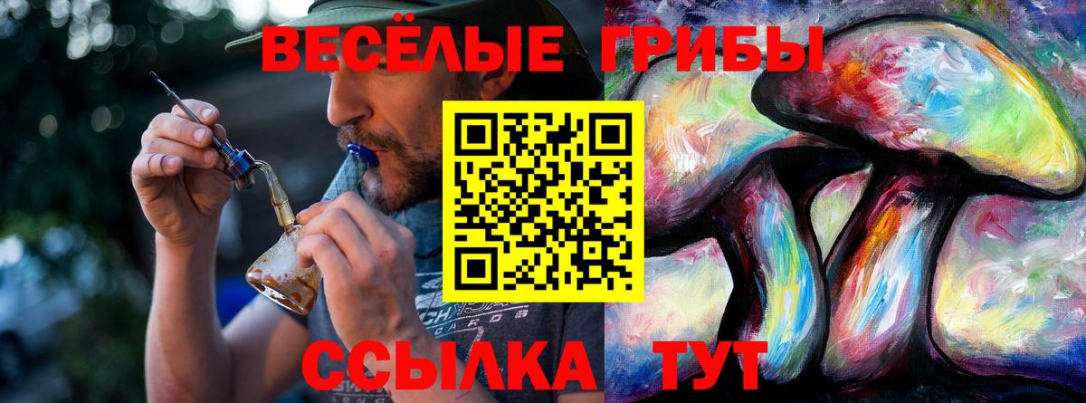 Псилоцибиновые грибы Psilocybe  Вход с VPN  Волоколамск 